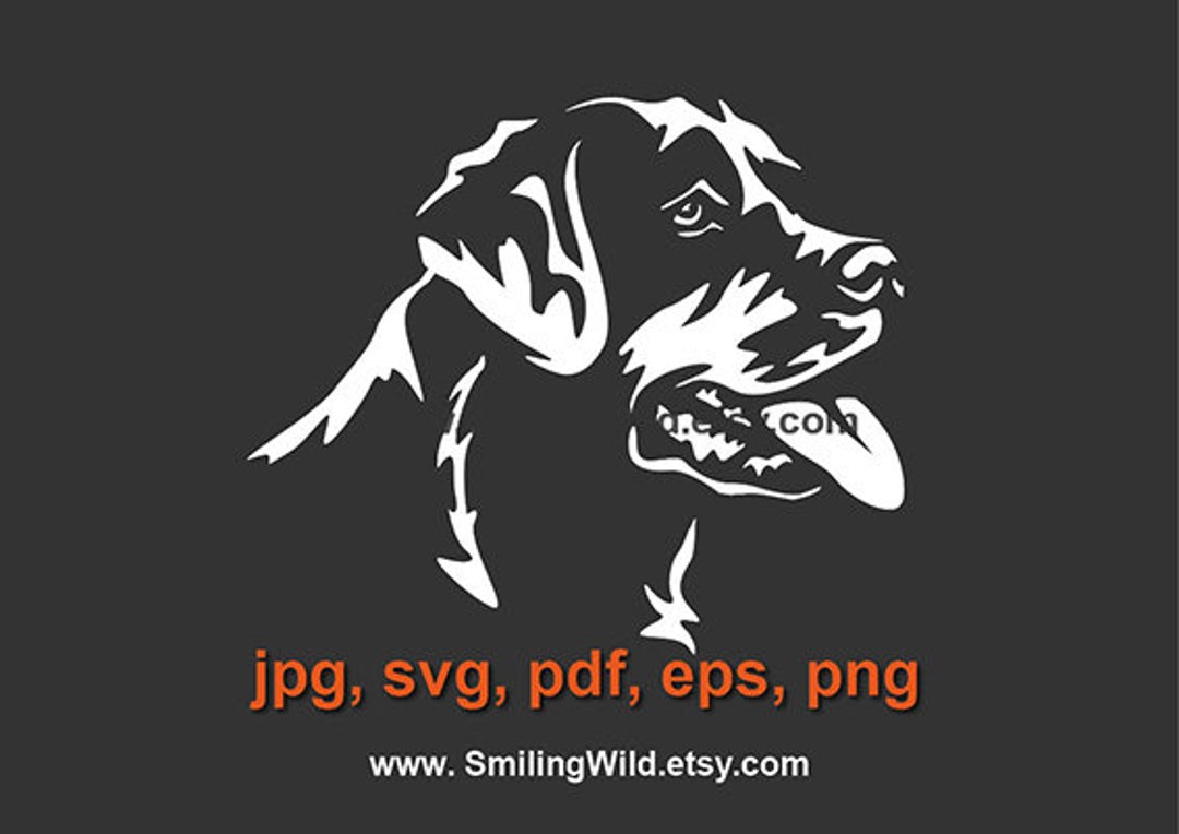 Black Labrador Retriever /05 Svg White Print on Black Dog Vector ...