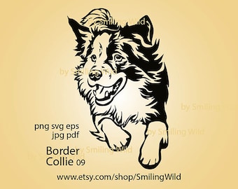 Border Collie svg /09/ running dog laser cuttable file Border Collie vector graphic art for logo cute dog digital arwork design