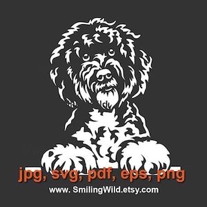 Spanish Water Dog SVG: Peeking Dog Vector Graphic (Digital File)