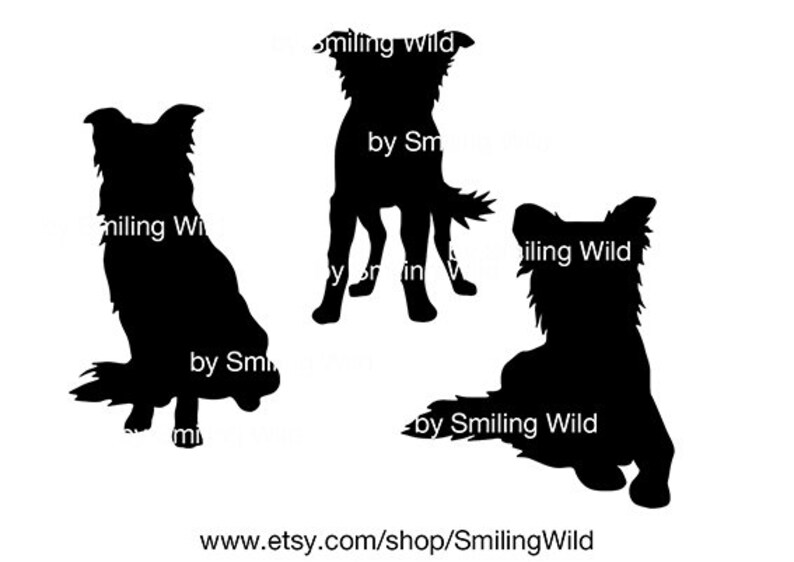 Download Border Collie 02 svg dog clipart cut file cricut Border ...