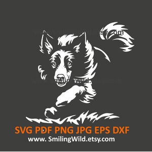 Hoeden Border Collie-hond SVG PNG DXF – realistische Running Canine witte clipart voor Cricut, silhouet en lasergesneden – directe download