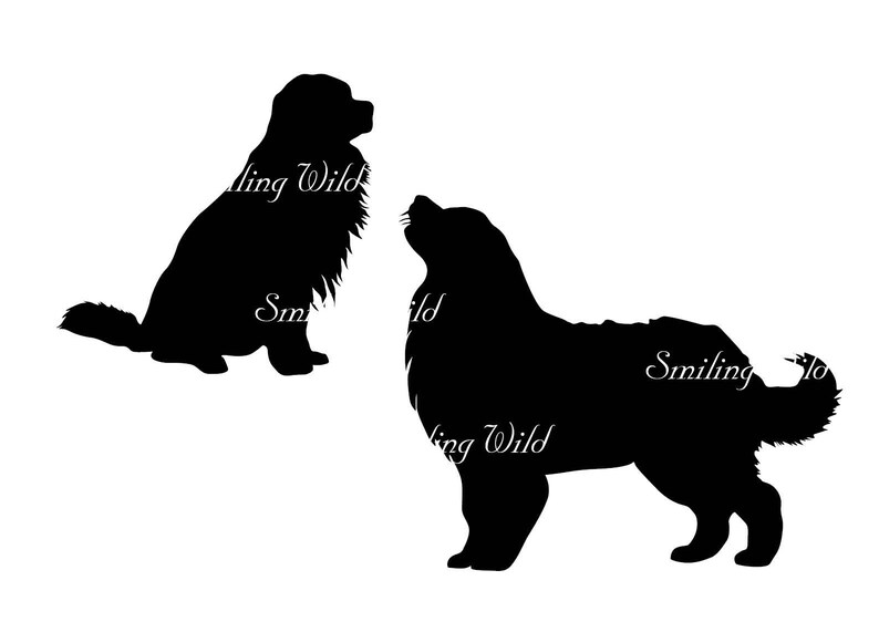 Free Free 247 Mountain Dog Svg SVG PNG EPS DXF File