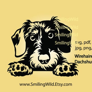 Gluren ruwharige teckel SVG & PNG-clipart - hond vector grafische kunst lachende hond schattige hond poot Graveerbare cricut ontwerp