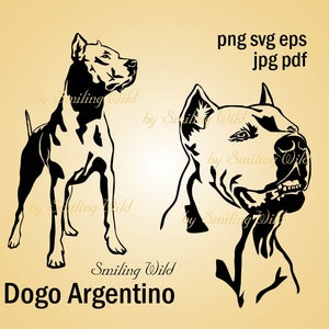 Dogo Argentino svg clipart vectoriel graphique Dogo Argentino oeuvre d'art Téléchargement immédiat découpe cadeau imprimable pour les amateurs de chiens