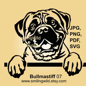 Bullmastiff dog clipart svg portrait Bullmastiff vector graphic art head artwork digital design png Bullmastiff cricut cut file cuttable
