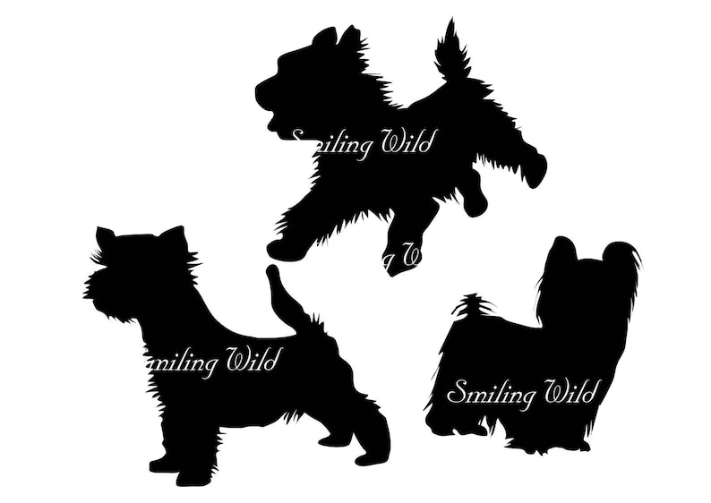 Download Yorkshire terrier svg yorkie silhouette cut file yorkshire ...
