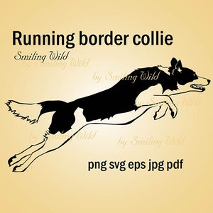 Chien en cours d’exécution svg vecteur art graphique border collie svg clipart vecteur art graphique imprimable sautant chien design numérique png