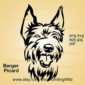 Berger Picard SVG PNG portret hond hoofd vector grafische kunst Berger Picard-illustraties gesneden bestand Graveerbare cricut gluren hond digitaal ontwerp