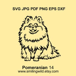 Pommeren Spits zittend Clipart SVG PNG DXF – Leuke realistische hond afbeelding - vectorbestand, DIY Cricut, Lasersnijden en downloaden