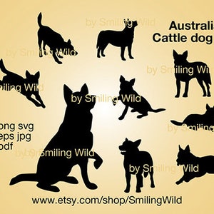 Silhouette di cane da bestiame australiano in formato SVG, clipart di cane da corsa con tacco blu, file di taglio di cane da pastore in formato SVG, grafica vettoriale ritagliabile, design digitale.