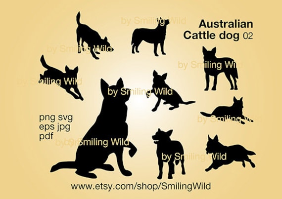 Download Australian Cattle Dog Svg Clipart Silhouette Blue Heeler Etsy PSD Mockup Templates