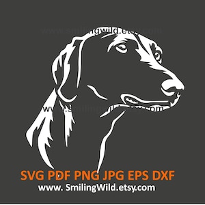 Azawakh SVG, PNG, DXF Sighthound Canine Clipart / Grafica vettoriale cane da caccia bianco per Cricut, Silhouette e taglio laser / download digitale