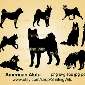 Silhouette di Akita americano in formato SVG, grafica vettoriale, clipart, cane Akita americano, file di taglio, cricut, tagliabile, stampabile, design digitale