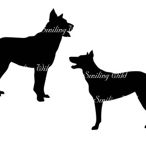 May include: Silhouette of two black dogs standing side by side. The dog on the left is facing forward, while the dog on the right is facing to the right.
