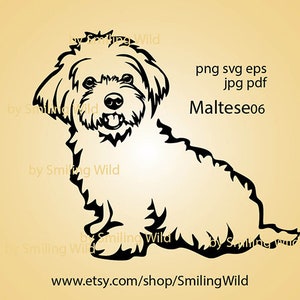 Maltese dog svg clipart cute dog vector graphic art Maltese cricut cut file cuttable maltese digital design