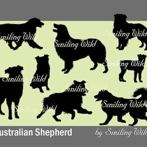 Op de afbeelding: Silhouetten van acht Australian Shepherd honden in verschillende poses tegen een lichtgroene achtergrond. De tekst "Smiling Wild" verschijnt meerdere keren in de afbeelding.
