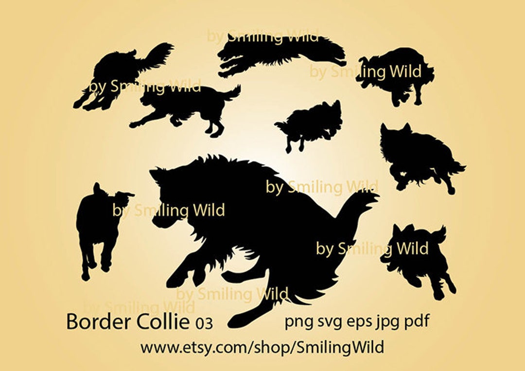 Running Border Collie Dog Svg Silhouette Vector Graphic Jumping