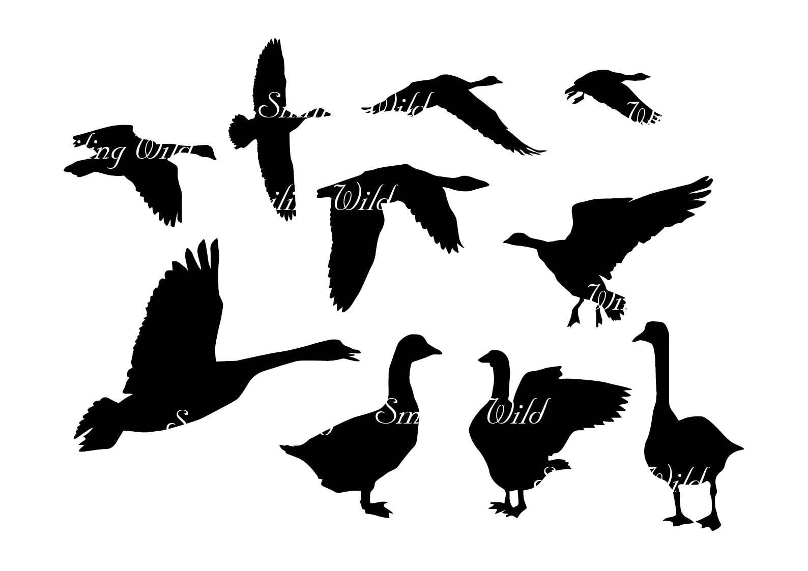 Goose Svg Geese Silhouette Clipart Cutout Printable Waterfowl Etsy