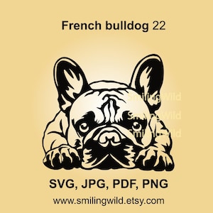 Niedliches spähendes Gesicht der französischen Bulldogge - Vektor-Clipart - Laserschnitt, Frenchie Cricut und Silhouette, digitales Sofort-Download-Design