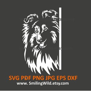 Schattige sheltiehond gluren om de hoek SVG, PNG, DXF – hond witte kop clipart-vectorafbeelding, lasersnijden, Cricut, Instant Download