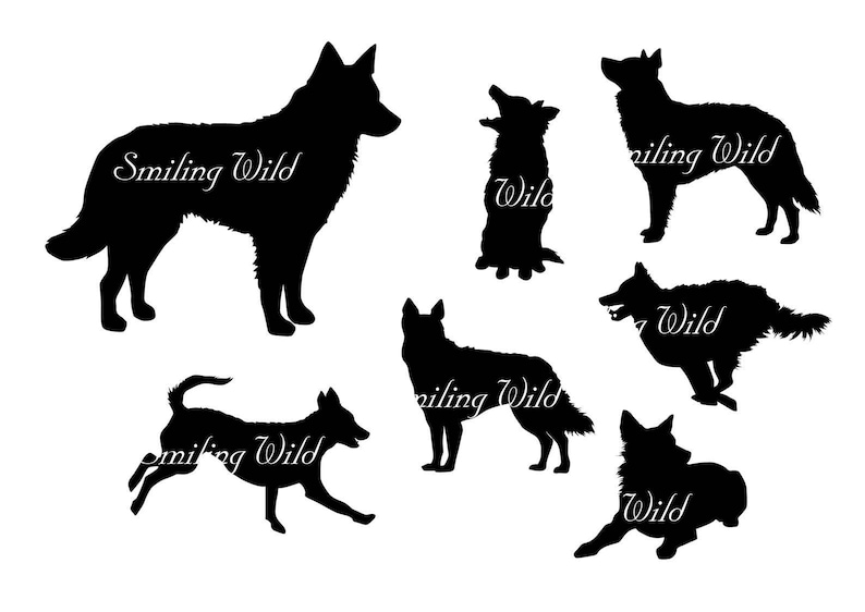 mudi dog svg silhouette running dog clipart printable vector graphic art hungarian mudi instant download png file commercial use digital