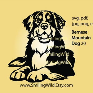 Liegender Berner Sennenhund Png & SVG Dateien für Laser Porträt Vektorgrafik - Hunde Clipart Dekor - Cricut Silhouette Logo Design