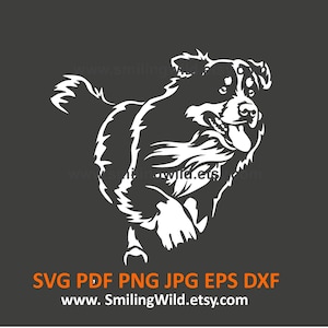 Berner Sennenhund SVG PNG DXF Realistische Clipart - laufender Hund weiß Vektorgrafik Design - Cricut, Laser, Download, Logo