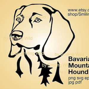 Bayerischer Sennenhund Hund svg Clipart geschnitten Datei schneidbare Vektor Grafik Bayerischer Sennenhund Hund png druckbare Kunstwerk design