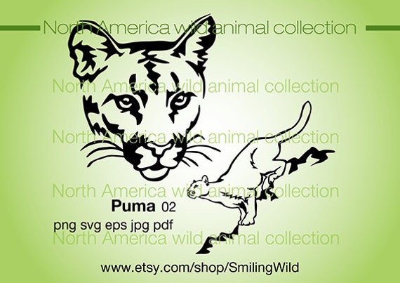 Moutain Lion Svg Puma Svg Portrait Wild Animal Vector Graphic Etsy