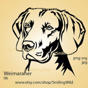 Weimaraner svg face portrait, dog head clipart digital vector graphic dog logo art, Weimaraner cut file cuttable cricut