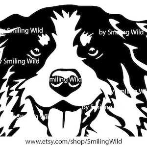 Aussie Svg Vector Graphic Art Portrait Australian Shepherd Clipart Svg ...