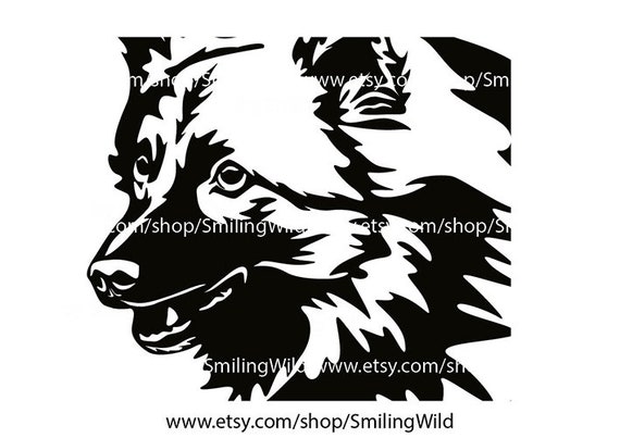 Spitz shop shop sh