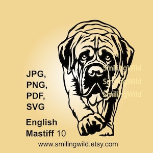 English Mastiff dog svg & png vector graphic portrait - realistic canine digital design for laser cutting \ Crucut crafts - instant download