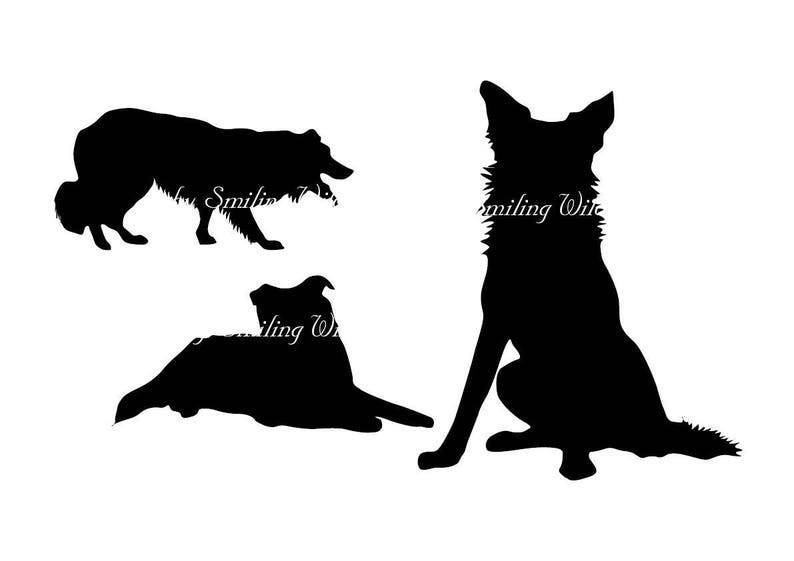 Download Border Collie svg border colly silhouette cliart Puppy ...