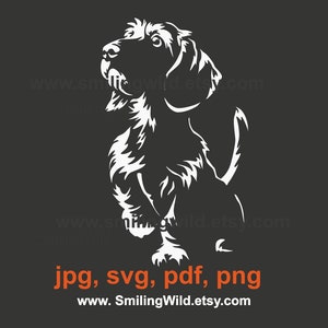 Drahthaar Dackel svg & png Vektor CLIP ART digital SCHNEIDBARE Dackel Porträt für Logo - Laser und mechanisches Schneiden