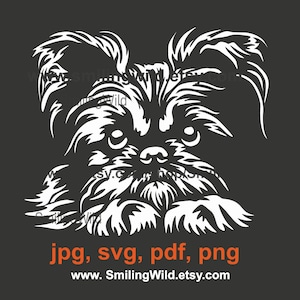 Clip art con faccia di cane Griffon di Bruxelles in formato svg, grafica vettoriale digitale tagliabile Griffon di Bruxelles