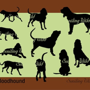 Bloedhond svg silhouet clipart afdrukbaar vector grafisch bestand bloedhond png instant download commercieel gebruik hond Chien de Saint-Hubert