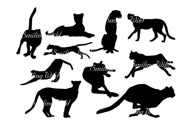 Download Cheetah svg silhouette clipart savannah animal safari svg ...