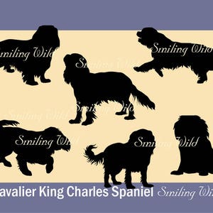 Cavalier King Charles Spaniel in formato SVG, silhouette, clipart, ritaglio, Charles Spaniel, stampabile, grafica vettoriale, uso commerciale, png, silhouette di cane.
