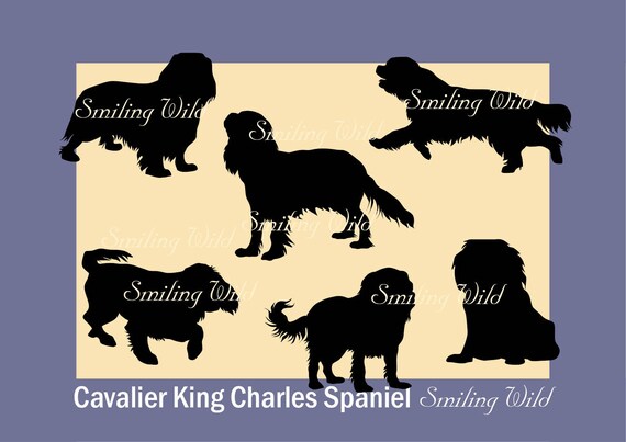 Free Free King Charles Svg 800 SVG PNG EPS DXF File