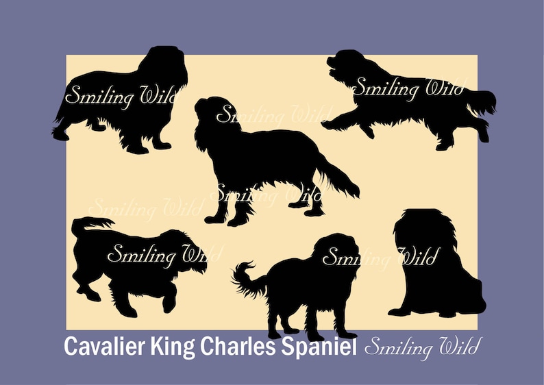 Free Free King Charles Spaniel Svg 207 SVG PNG EPS DXF File