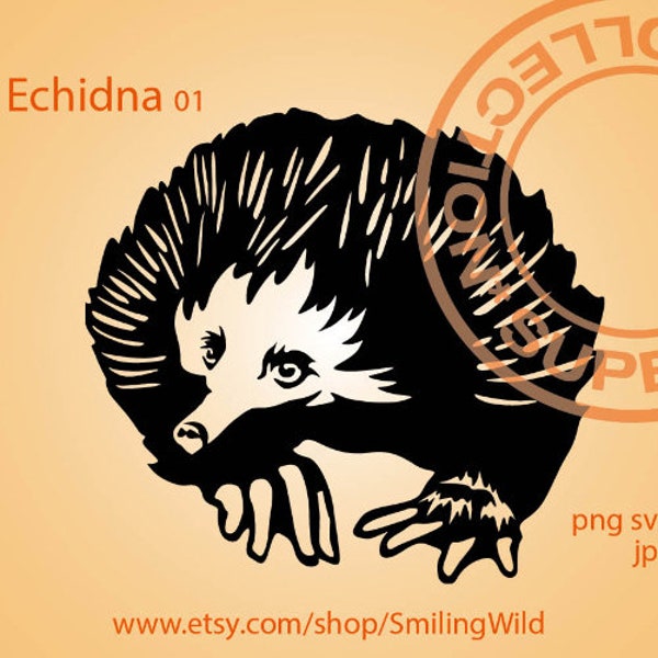 Echidna svg Australian wild Animal vector graphic clip art illustration, Echidna cuttable digital design