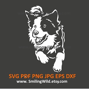 Bordercollie springen SVG, PNG, DXF behendigheid vectorafbeelding - realistische hond witte clipart, hond lasergesneden bestand voor Cricut en Silhouette