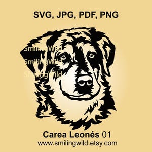 Carea Leonés SVG Herding Dog Portrait DIY Cutting File for Cricut & Crafts
