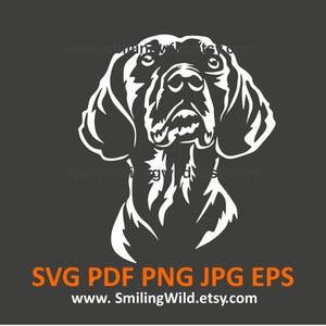 Schiller Hound SVG- en PNG-downloadbestanden | Zweedse jachthond zwart-witte hoektanden clipart voor Cricut | lasergesneden afbeeldingen