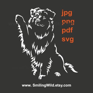 Chien de berger australien SVG & PNG vector clipart - découpe laser de graphiques canins aussie réalistes en noir et blanc - Cricut, Silhouette