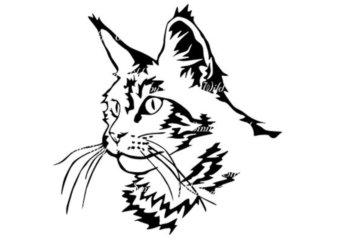Maine coon portrait head cat svg maine coon clipart printable | Etsy