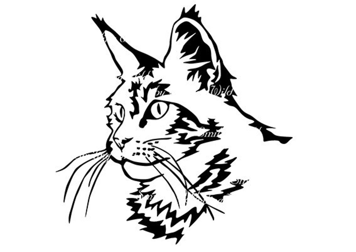 maine-coon-portrait-head-cat-svg-maine-coon-clipart-printable-etsy