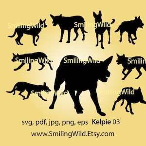 Op de afbeelding: Silhouetten van acht zwarte Australian Kelpie honden in verschillende poses. De honden kijken allemaal naar voren, met hun staarten gekruld of recht. De afbeelding is tegen een lichtgele achtergrond.