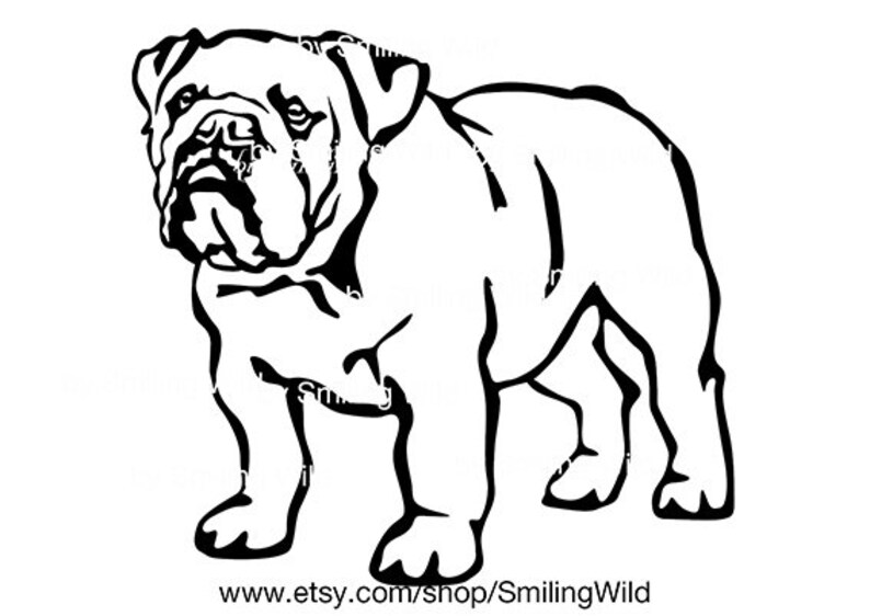 Download English bulldog svg clipart cut file British Bulldog svg ...